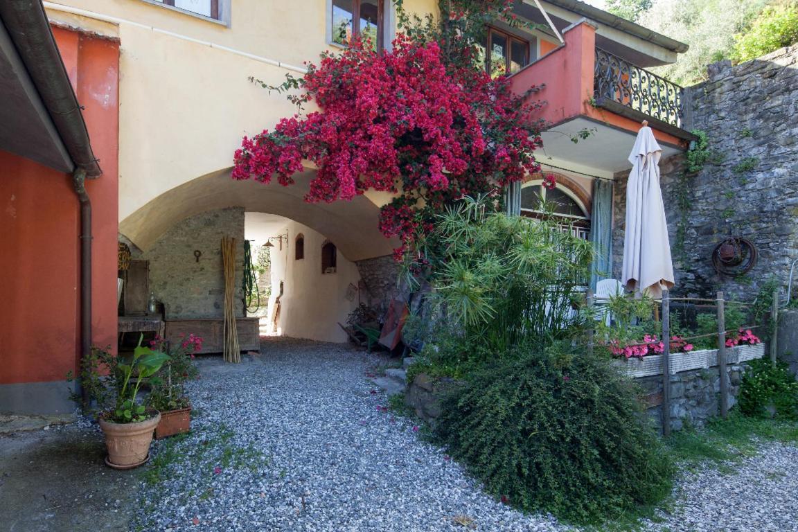 Il Borgo Della Colomba Villa Fosdinovo Exteriör bild