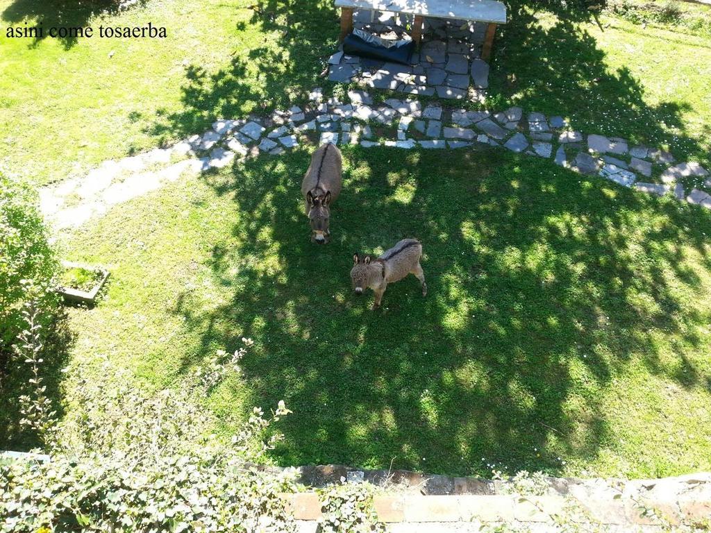 Il Borgo Della Colomba Villa Fosdinovo Exteriör bild